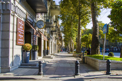 Street amidst trees and buildings in city