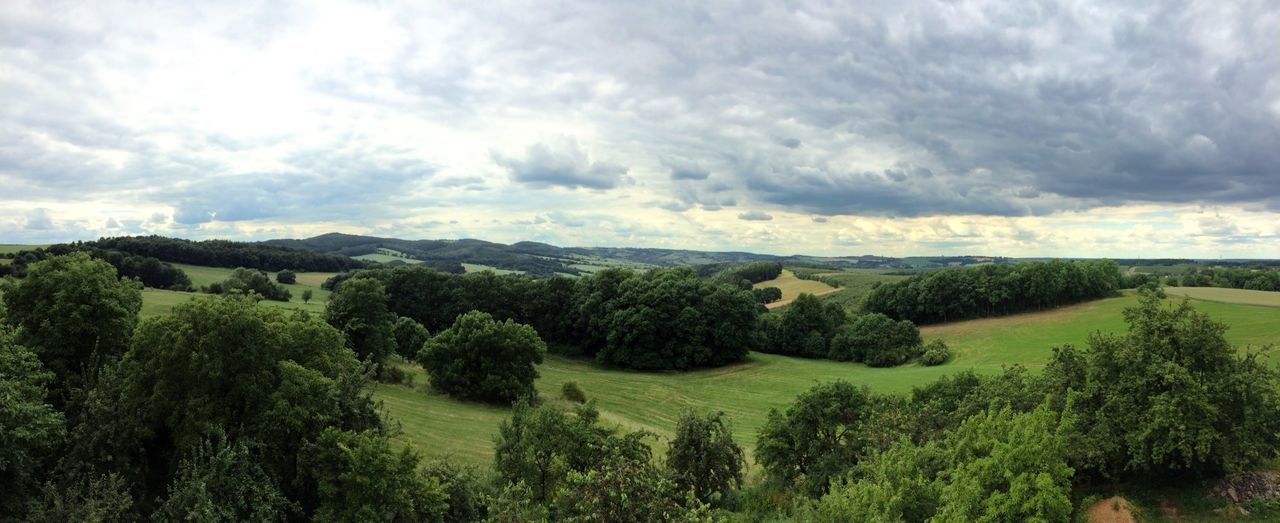 tranquil scene, sky, tree, tranquility, scenics, beauty in nature, cloud - sky, landscape, green color, cloudy, nature, growth, cloud, lush foliage, idyllic, non-urban scene, water, plant, high angle view, field