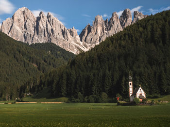 Panoramic shot of trees on field against mountains