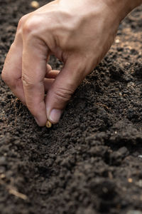 Close-up of person holding hands