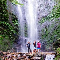 Rear view of people watching waterfall in forest