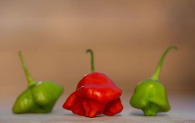 Close-up of red chili peppers on table