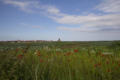 Scenic view of field against sky