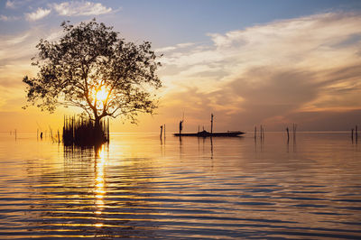 Silhouette trees on sea against sky during sunset