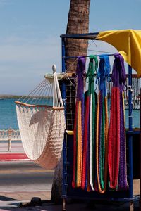 Colorful hammocks hanging by tree at beach