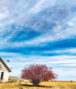 House on field against sky