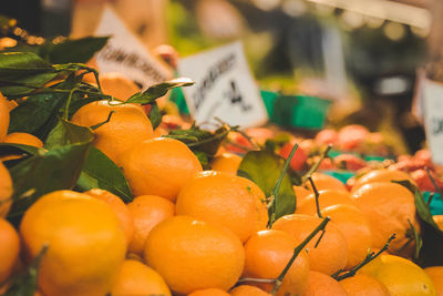 Close-up of fruits for sale at market stall