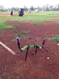 View of grassy field