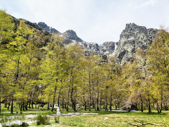 Scenic view of trees and mountains against sky