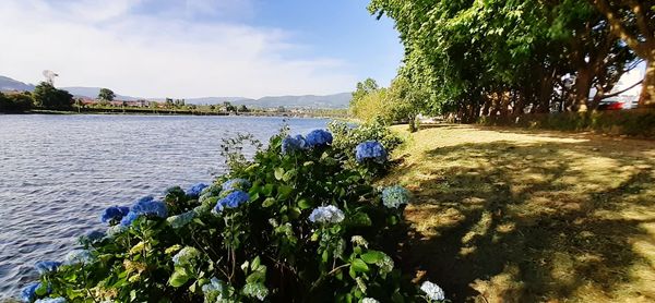 Scenic view of lake against sky