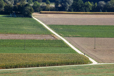 High angle view of field