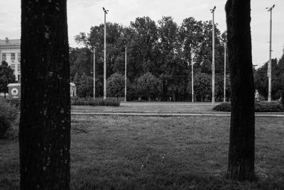 Trees and grass against sky