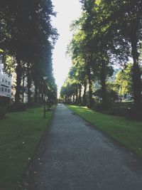 Road passing through forest