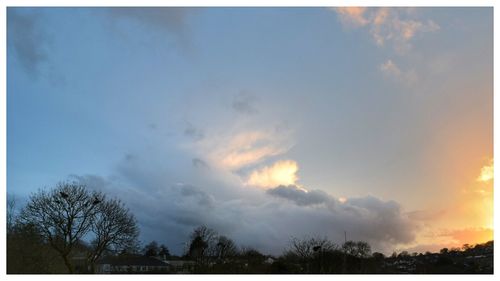 Low angle view of trees against cloudy sky