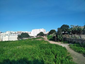 Panoramic shot of trees on field against clear blue sky
