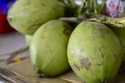 Close-up of coconut in market