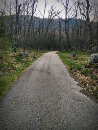 Road amidst trees against sky