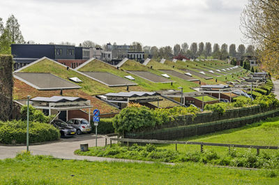 Row of modern patio houses with vegetated roofs and solar panels