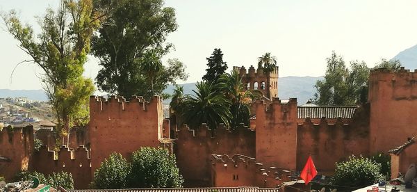 Palm trees and buildings against sky