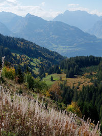 Scenic view of landscape and mountains against sky