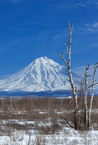 Koryaksky volcano in kamchatka and the blue sky