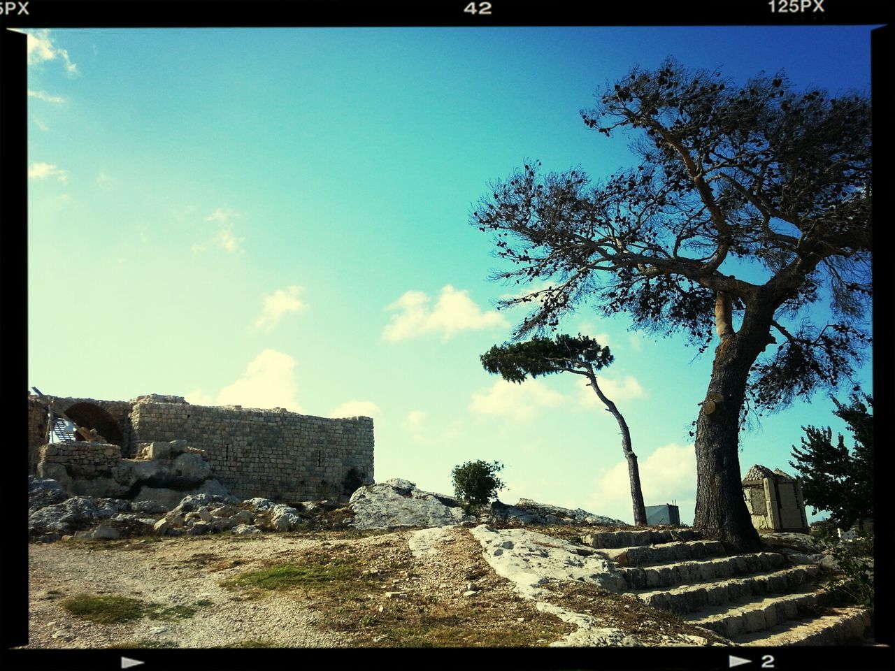 transfer print, tree, built structure, sky, architecture, building exterior, auto post production filter, blue, low angle view, old, history, old ruin, day, sunlight, the past, abandoned, damaged, nature, stone material, outdoors