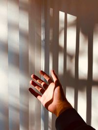 Cropped image of hand against blinds at home