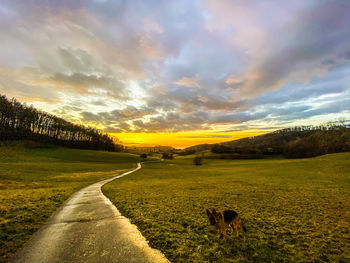 Scenic view of road amidst field against sky during sunset