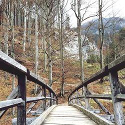 Walkway leading to bridge