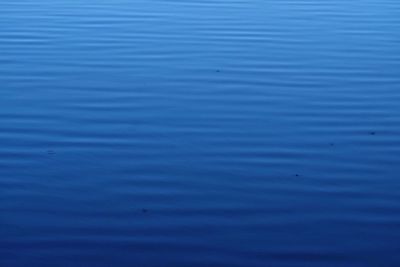 Full frame shot of blue sea