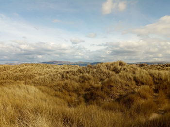 Scenic view of field against sky