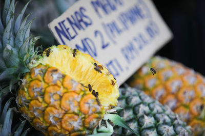 Close-up of fruits for sale at market stall
