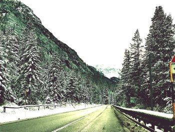 Road amidst trees against clear sky