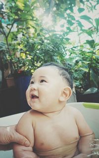 Close-up of cute baby boy
