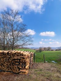 Stack of logs on field in forest against sky