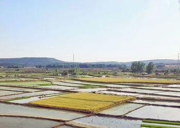 Scenic view of landscape against clear sky