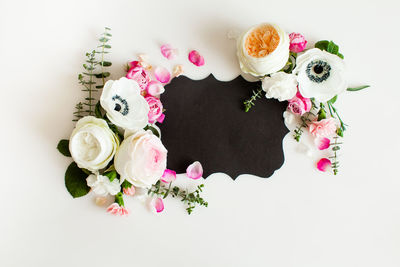 High angle view of roses against white background