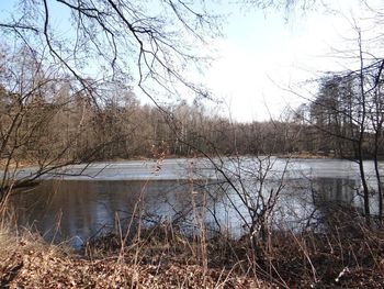 Scenic view of lake in forest against sky