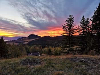 Scenic view of field against sky during sunset