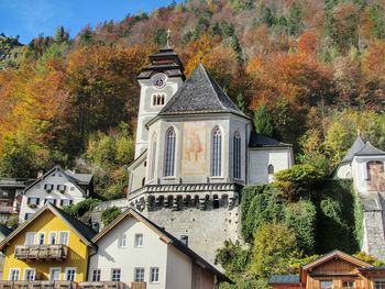 Houses by trees during autumn