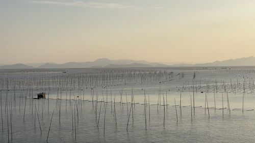 Scenic view of wooden posts in lake against sky