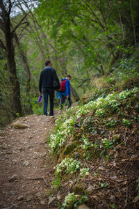 Rear view of friends walking on footpath in forest