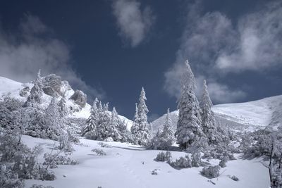 Scenic view of snowcapped mountains against sky