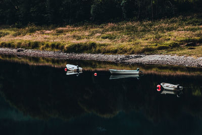 Scenic view of lake against trees