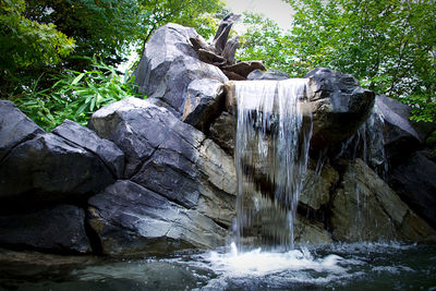 Scenic view of waterfall in forest