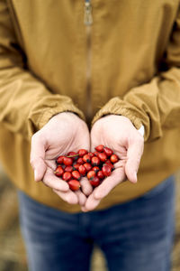 Midsection of woman holding fruits