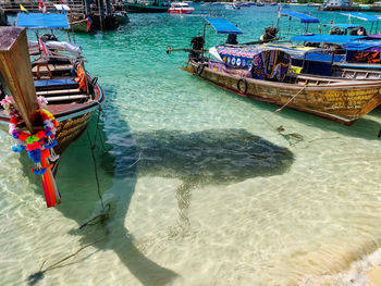 High angle view of fishing boats moored on beach