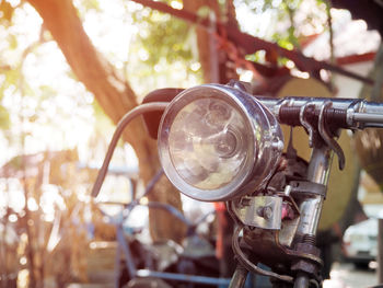 Close-up of vintage car on tree