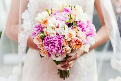 Close-up of pink rose