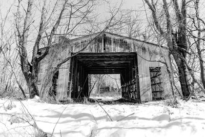 Abandoned house against bare trees during winter